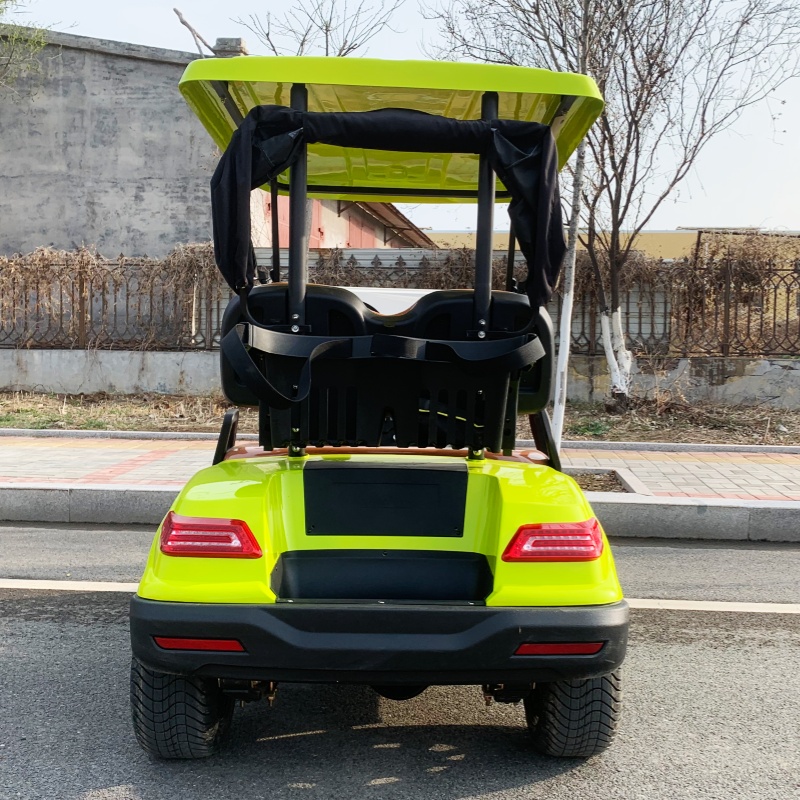 Luxury Bags Price - Fabrieks prijs 2-zits luxe elektrische golfkar
